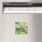 Red Fox Kits Magneet (Insitu (Vaatwasser))