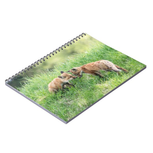 Red Fox Kits Notitieboek (Linkerzijde)