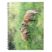 Red Fox Kits Notitieboek (Voorkant)