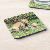 Red Fox Kits Speling Bier Onderzetter (Linkerzijde)