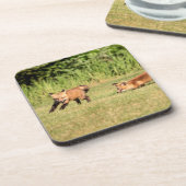 Red Fox Kits Speling Bier Onderzetter (Linkerzijde)