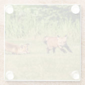 Red Fox Kits Speling Glazen Onderzetter (Achterkant)