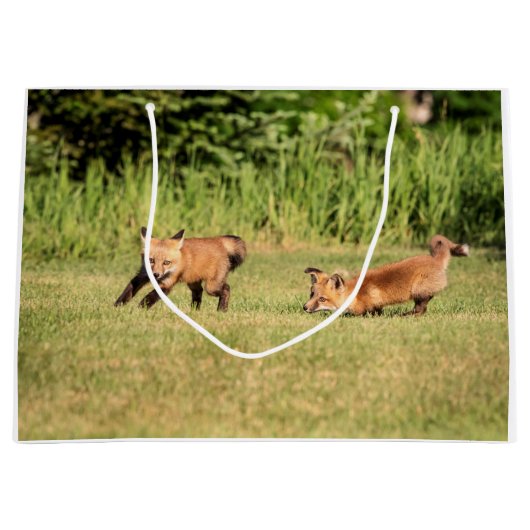 Red Fox Kits Speling Groot Cadeauzakje (Voorkant)