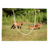 Red Fox Kits Speling Groot Cadeauzakje (Achterkant)