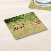 Red Fox Kits Speling Kartonnen Onderzetters (Schuin)