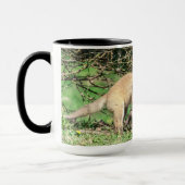 Red Fox Kits Speling Mok (Links)
