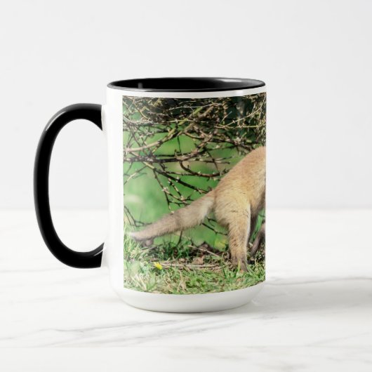 Red Fox Kits Speling Mok (Links)