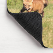 Red Fox Kits Speling Muismat (Hoek)