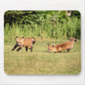 Red Fox Kits Speling Muismat (Voorkant)