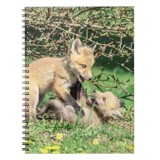 Red Fox Kits Speling Notitieboek (Voorkant)