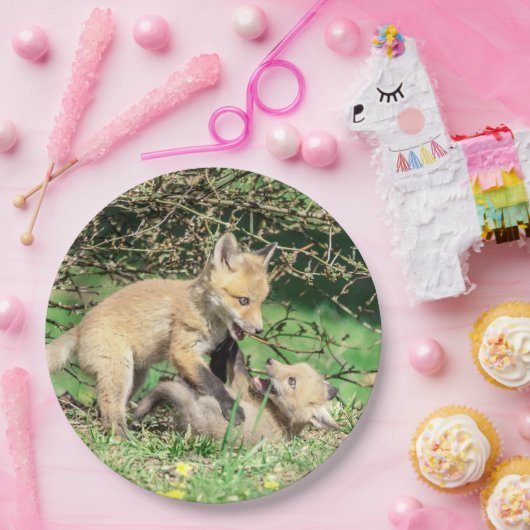 Red Fox Kits Speling Papieren Bordje (Feest)