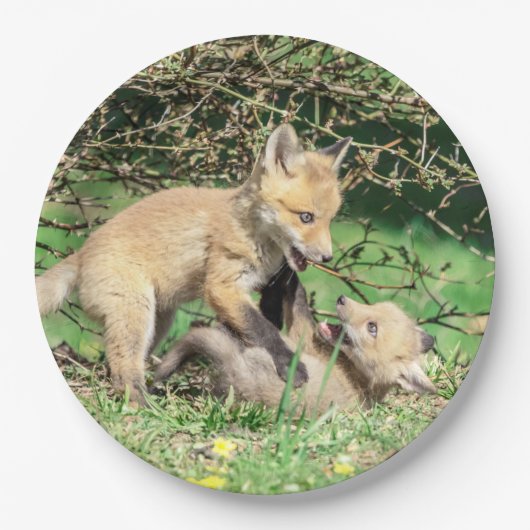 Red Fox Kits Speling Papieren Bordje (Voorkant)