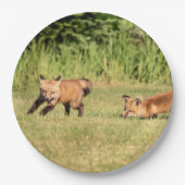 Red Fox Kits Speling Papieren Bordje (Voorkant)