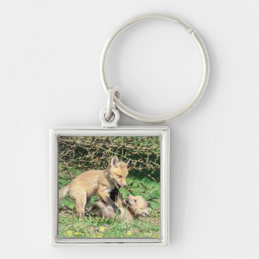 Red Fox Kits Speling Sleutelhanger (Voorkant)