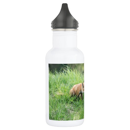 Red Fox Kits Waterfles (Links)
