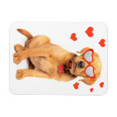 Red Fox Labrador Puppy Love Magneet (Horizontaal)