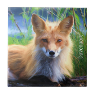 Red Fox Laying in Grass Schilderachtig Personalize Tegeltje