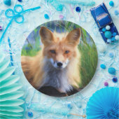 Red Fox Laying in Grass Schilderachtig Wildlife Papieren Bordje (Feest)