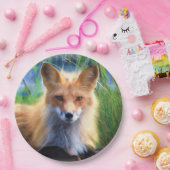 Red Fox Laying in Grass Schilderachtig Wildlife Papieren Bordje (Feest)