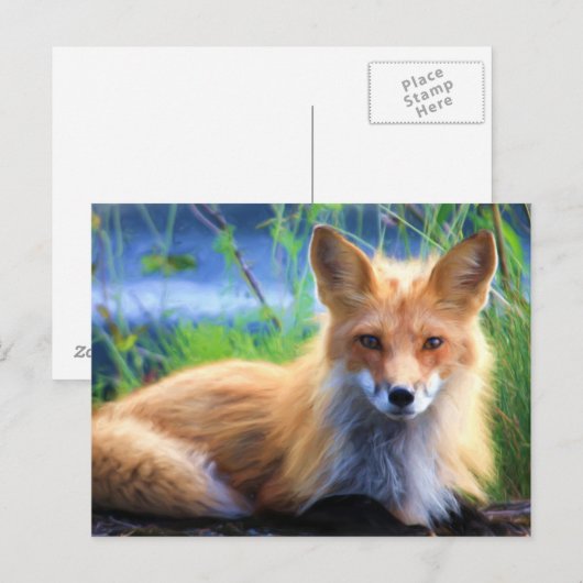 Red Fox Laying in het Grass Wildlife Afbeelding Briefkaart (Voorkant / Achterkant)
