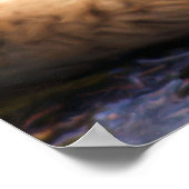 Red Fox Laying in het Grass Wildlife Afbeelding Poster (Hoek)