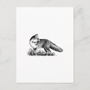 Red Fox (lijnkunst) Briefkaart