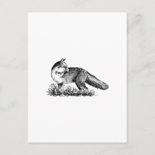 Red Fox (lijnkunst) Briefkaart (Voorkant)
