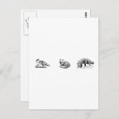 Red Fox Line Art Briefkaart (Voorkant / Achterkant)