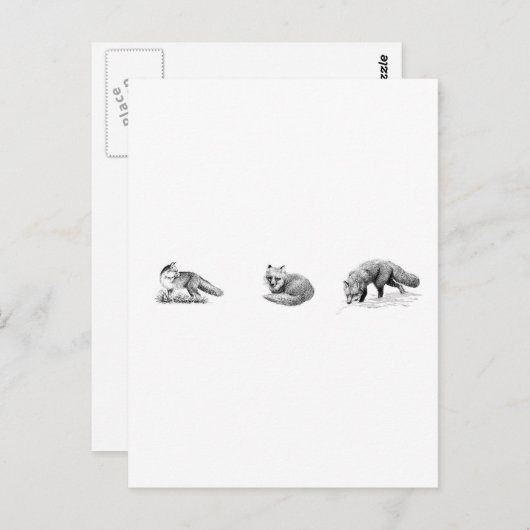 Red Fox Line Art Briefkaart (Voorkant / Achterkant)