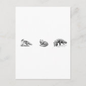 Red Fox Line Art Briefkaart (Voorkant)