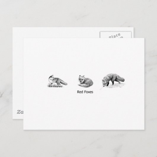 Red Fox Line Art (titel) Briefkaart (Voorkant / Achterkant)