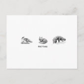 Red Fox Line Art (titel) Briefkaart (Voorkant)