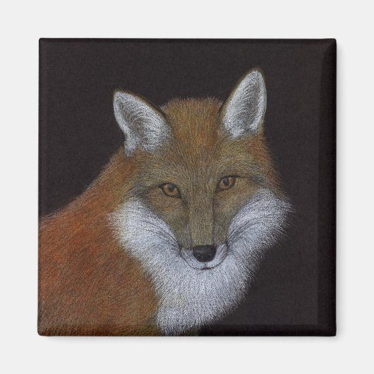 Red Fox Magneet (Voorkant)