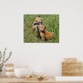 Red Fox Mama en Kit Poster (Keuken)