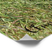 Red Fox Mama en Kit Poster (Hoek)