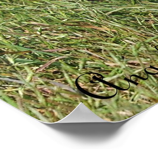 Red Fox Mama en Kit Poster (Hoek)