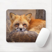 Red Fox Muismat (Met muis)