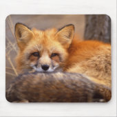 Red Fox Muismat (Voorkant)
