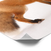 Red Fox Natuur Wildlife Foto Poster (Hoek)