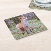 Red Fox Onderzetter (Schuin)