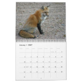 Red Fox ontmoet Fox fotografie Kalender (Jan 2027)