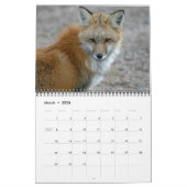 Red Fox ontmoet Fox fotografie Kalender (Mar 2026)