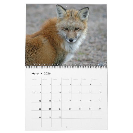 Red Fox ontmoet Fox fotografie Kalender (Mar 2026)