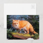 Red Fox op een log Briefkaart (Voorkant / Achterkant)