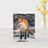 Red Fox-opmerking/wenskaart van onze planeet opsla Kaart (Gele Bloem)