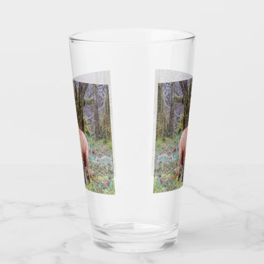 Red Fox opzoeken Glas (Rechts)