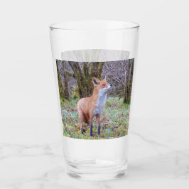 Red Fox opzoeken Glas