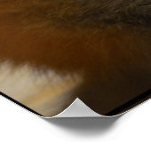 Red Fox Pair Poster (Hoek)