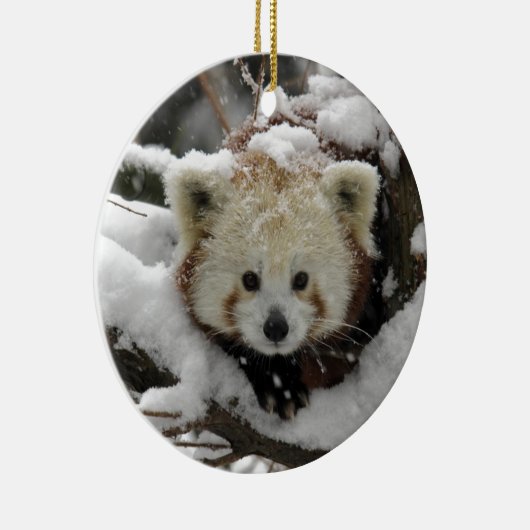 Red Fox Panda Bearcub Keramisch Ornament (Rechts)