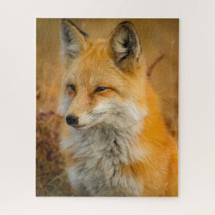 Red Fox Photo Puzzle Legpuzzel